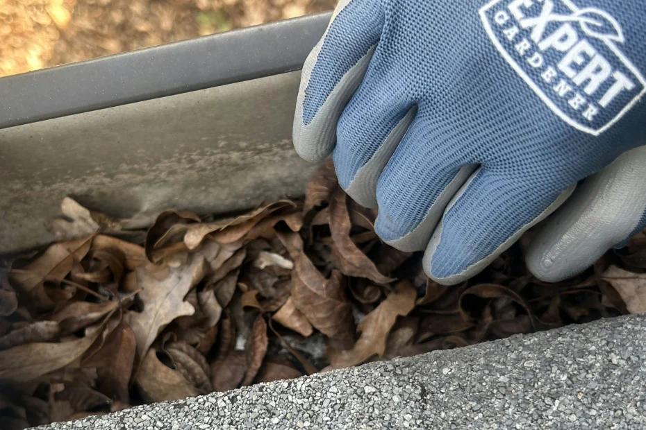 Gutter Cleaning Port Richey FL