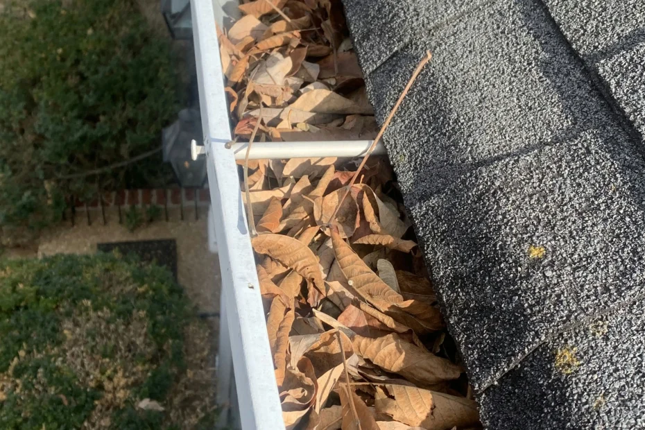 Gutter Cleaning Port Richey FL