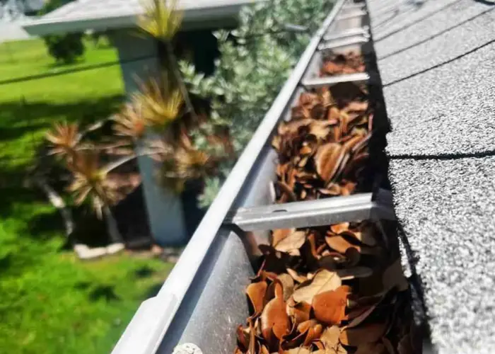 Gutter Cleaning Port Richey FL home page